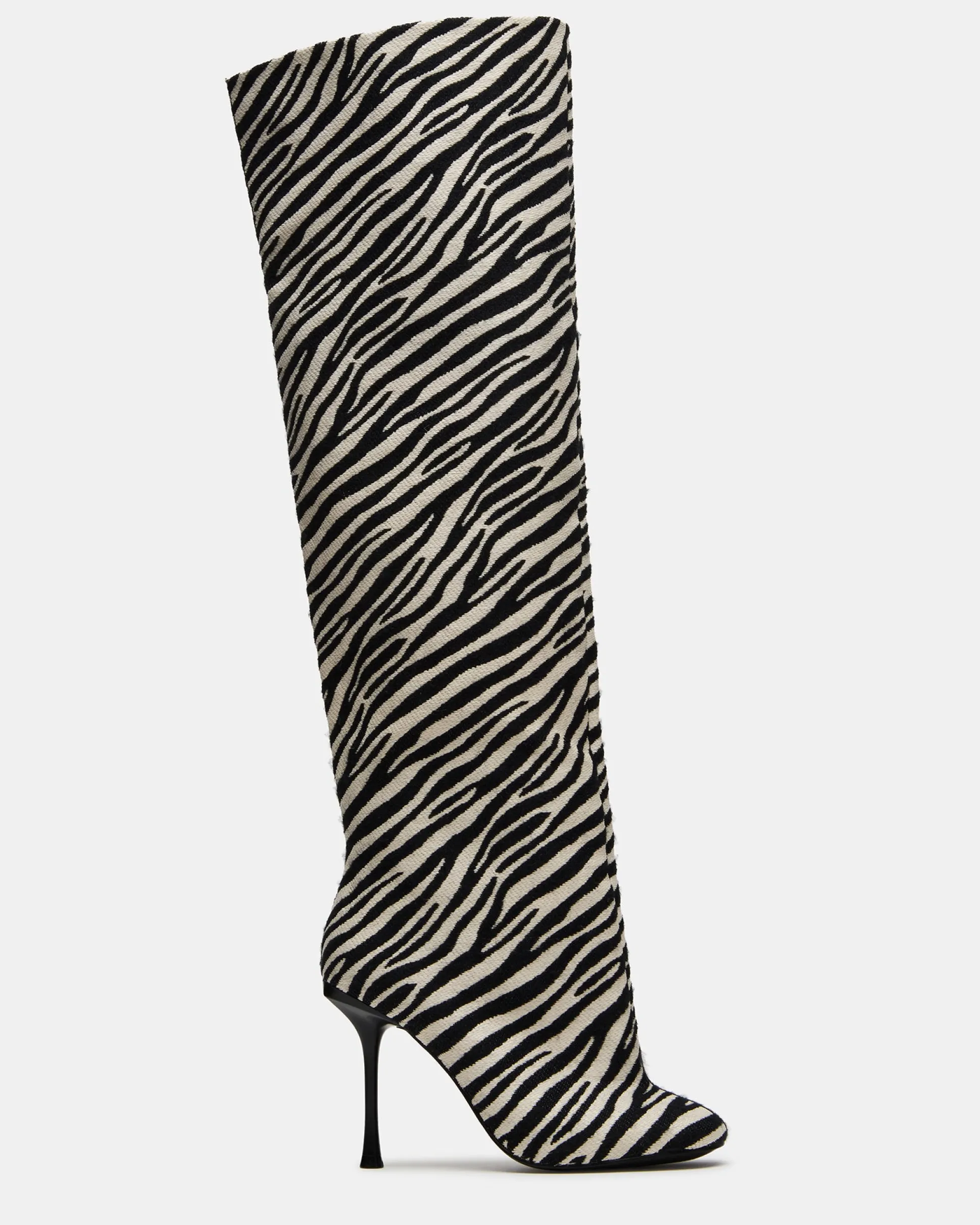 Alluring Zebra