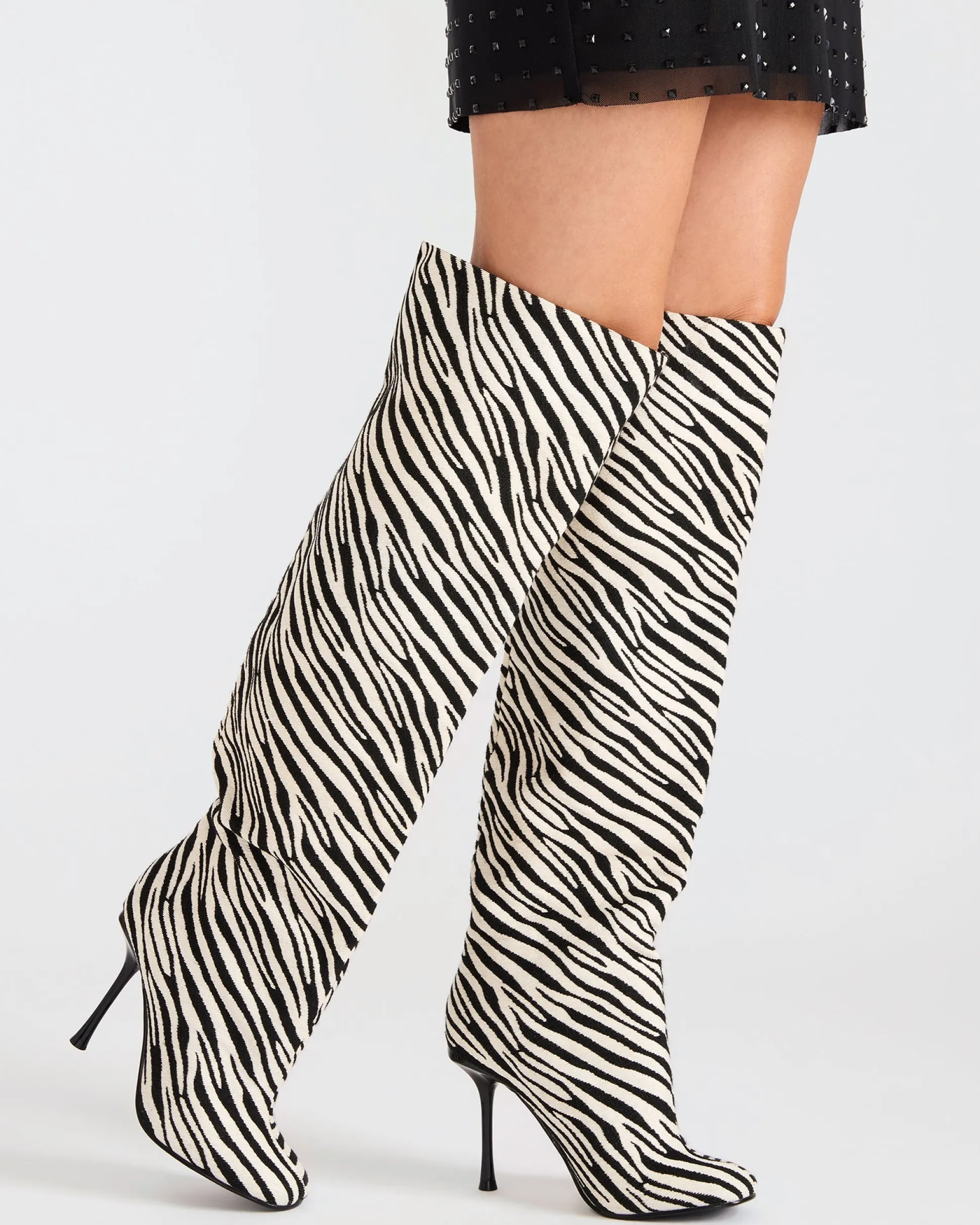 Alluring Zebra