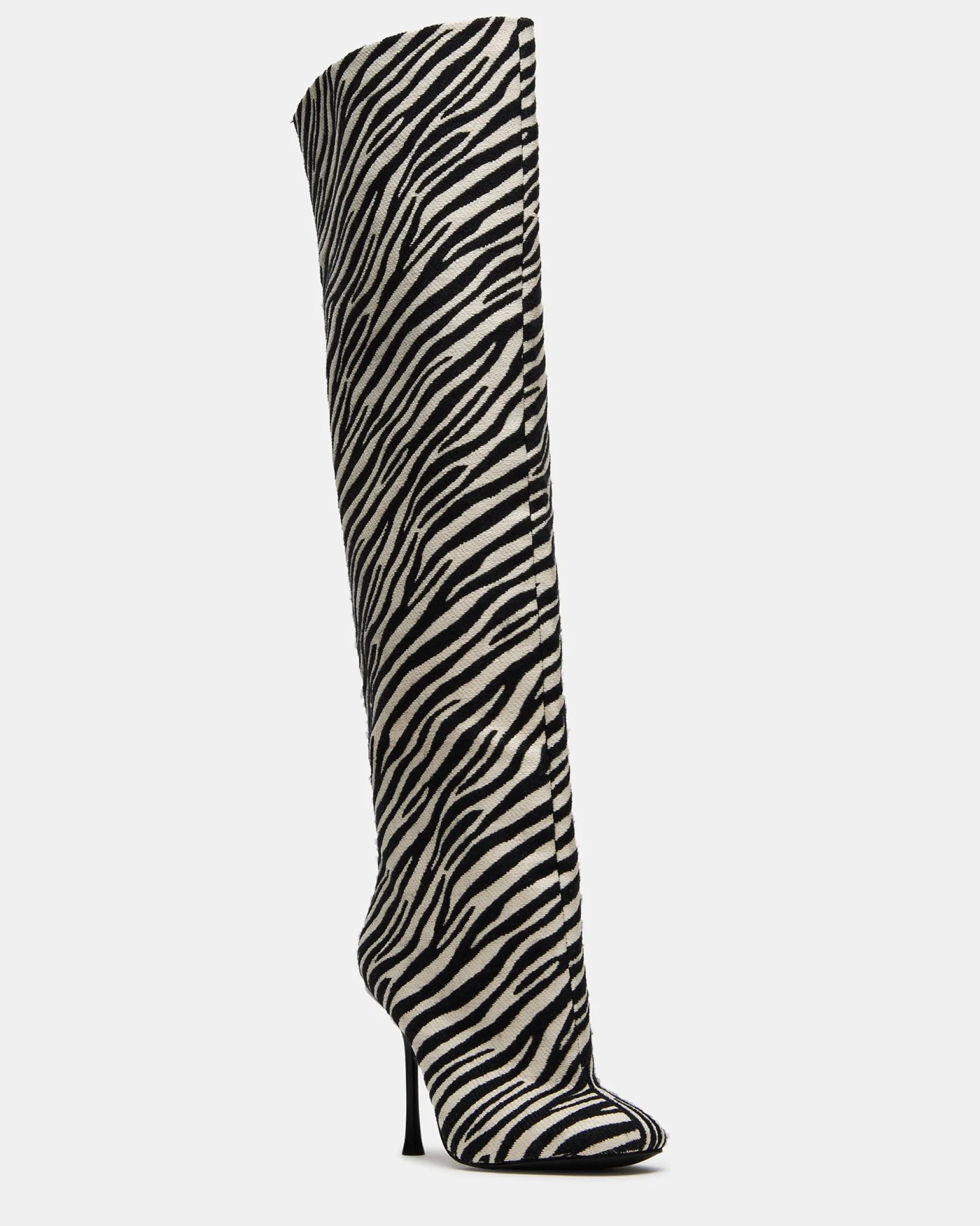 Alluring Zebra