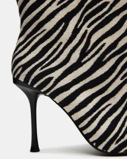 Alluring Zebra
