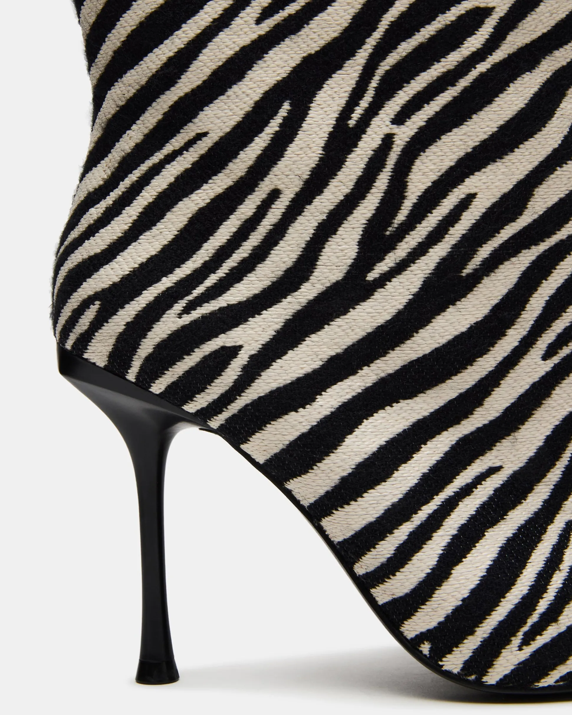 Alluring Zebra