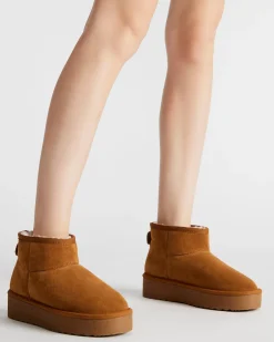 Comfy Chestnut Suede
