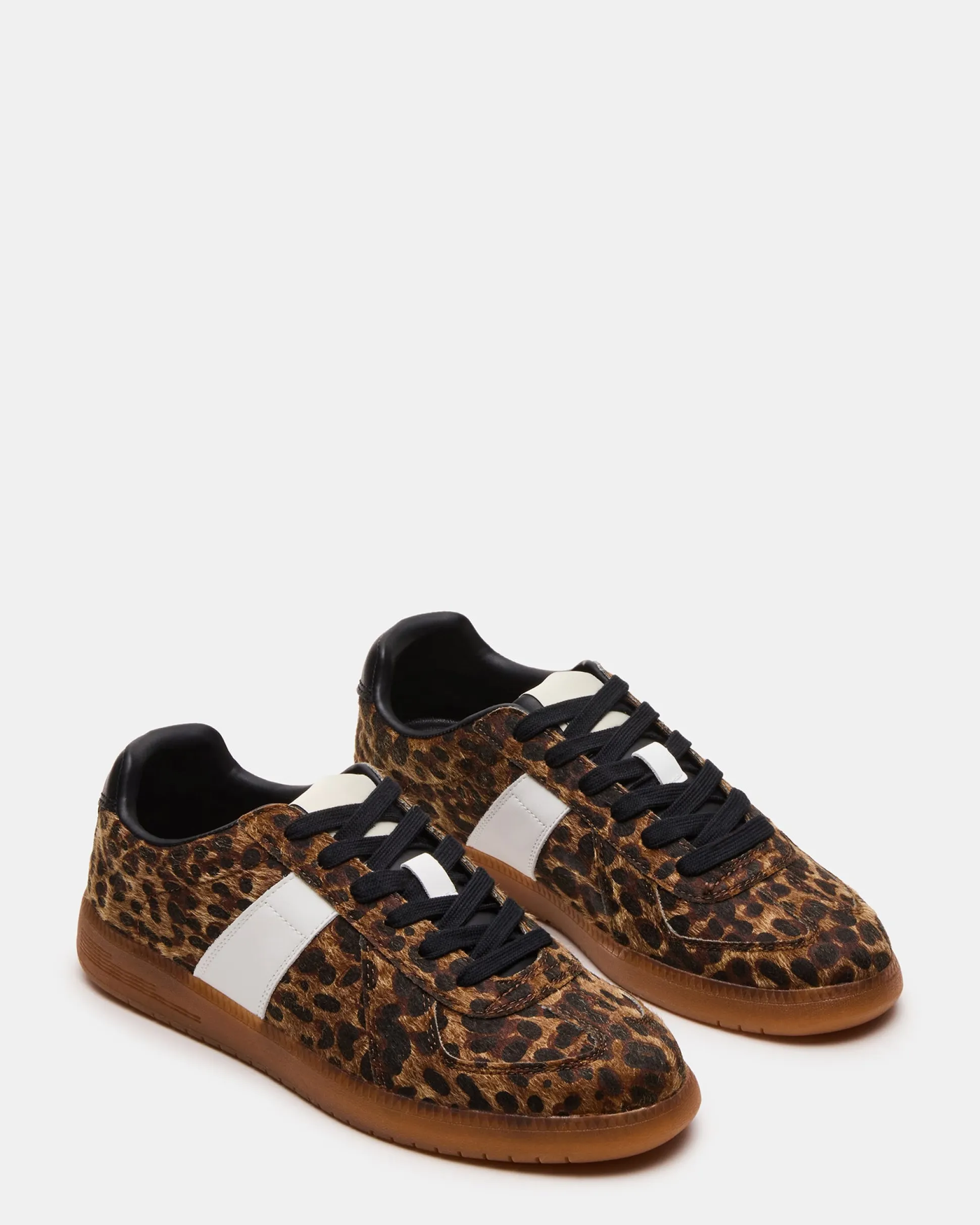 Dixon Leopard