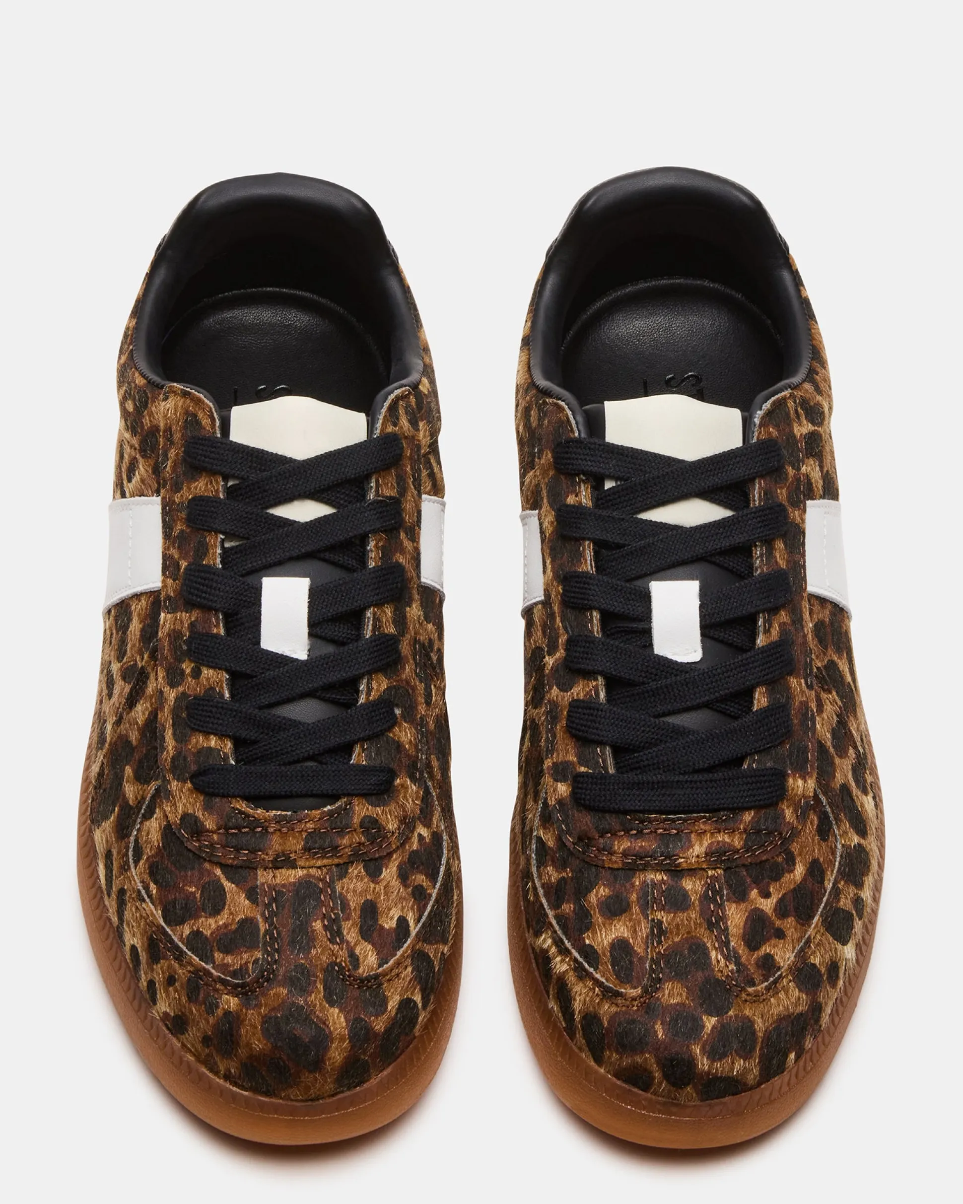 Dixon Leopard