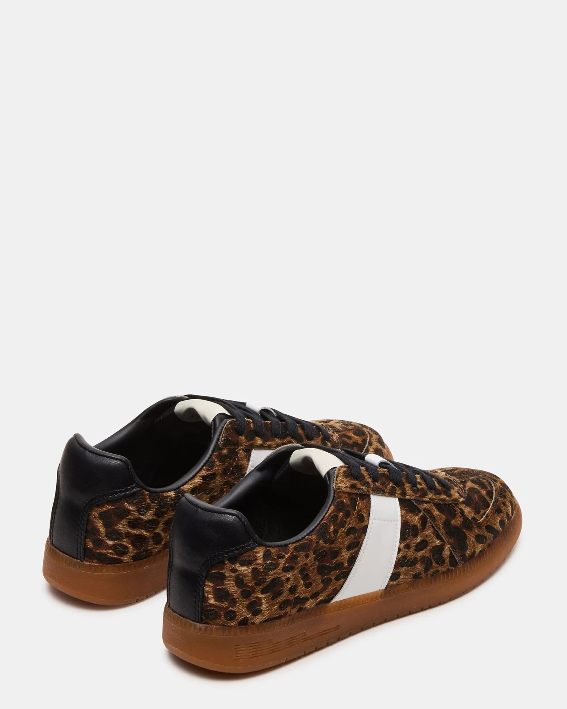 Dixon Leopard