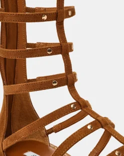 Gladius Chestnut