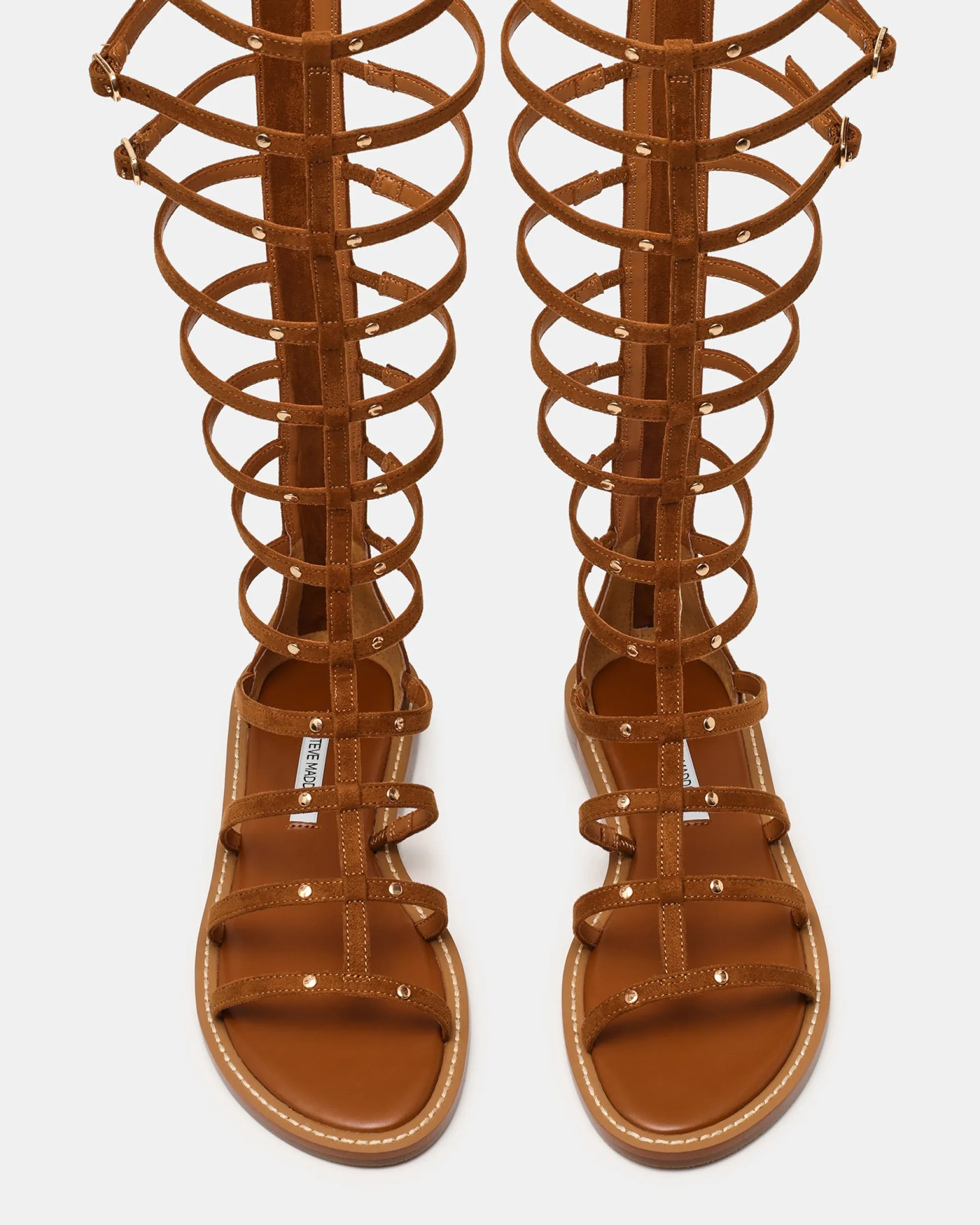 Gladius Chestnut
