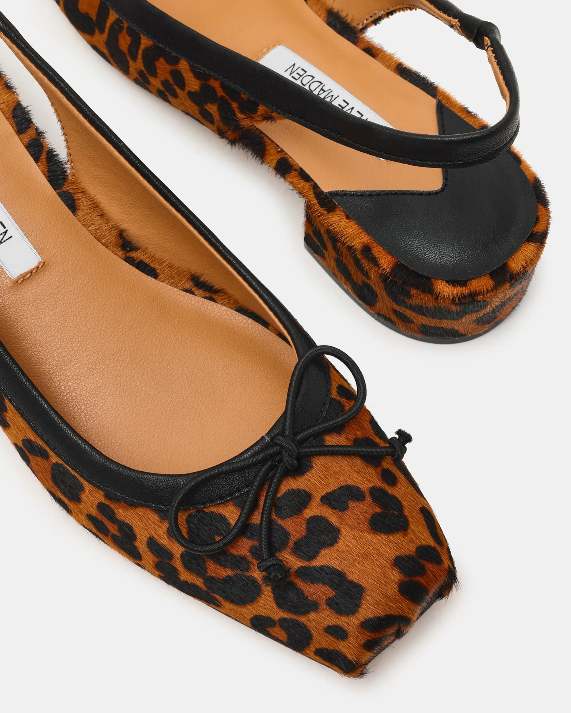 Loved Leopard