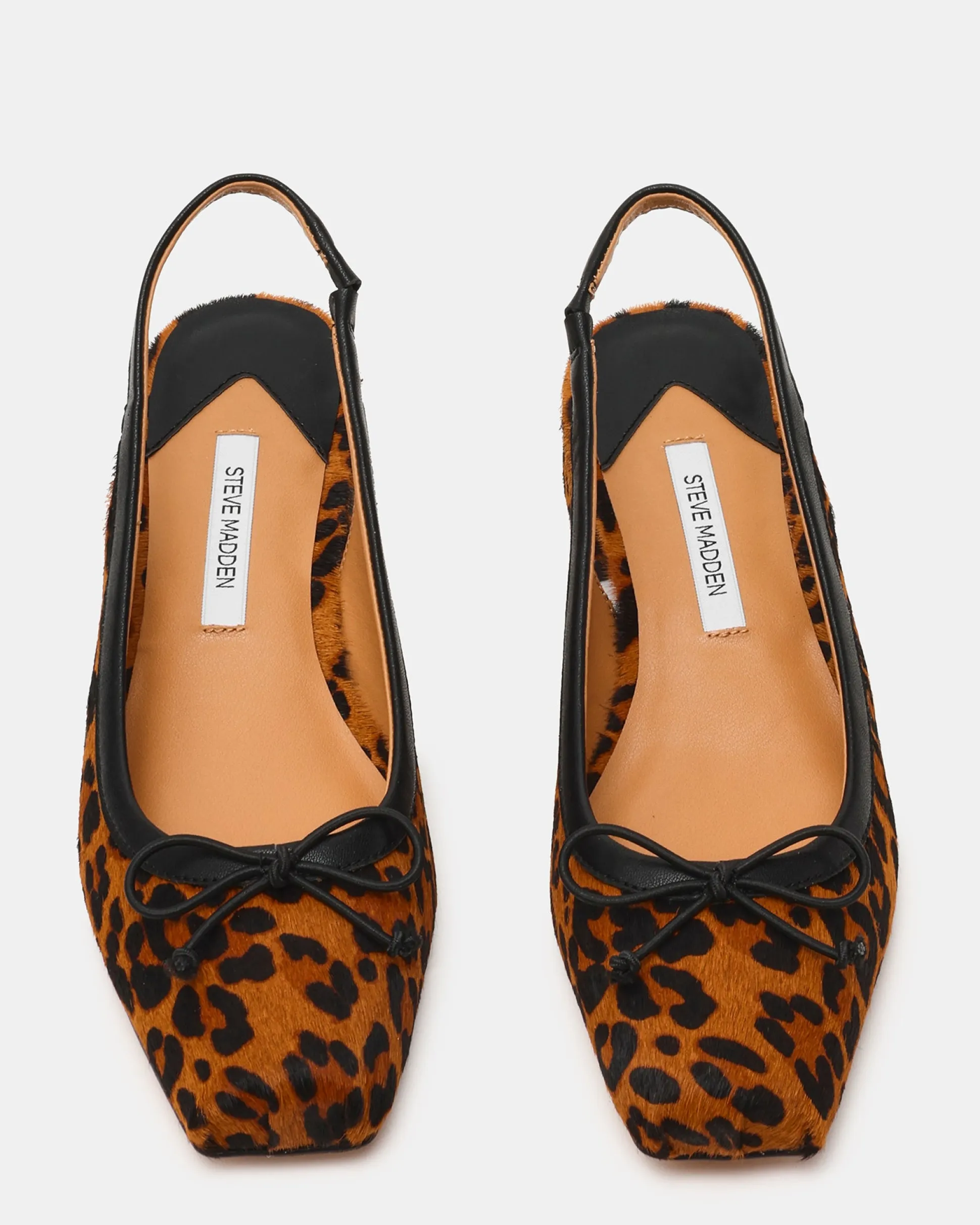 Loved Leopard