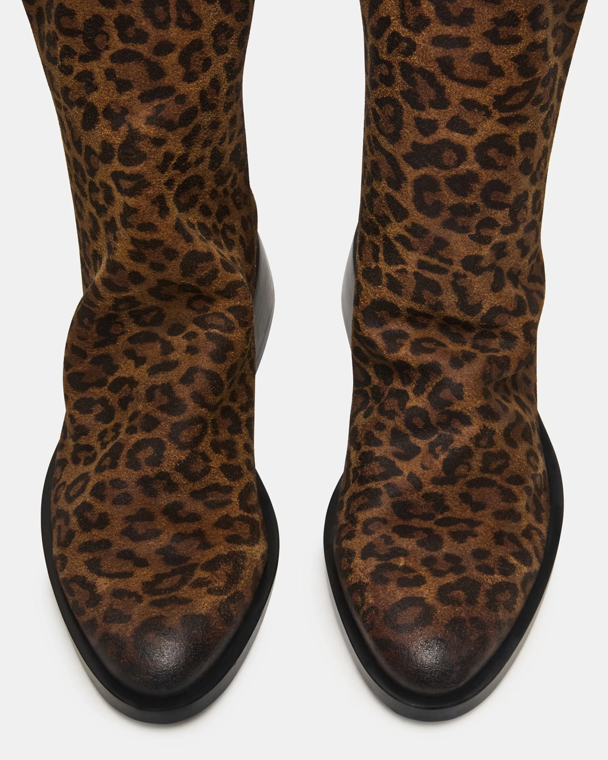 Nexie Leopard