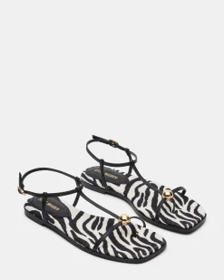 Ritzy Zebra