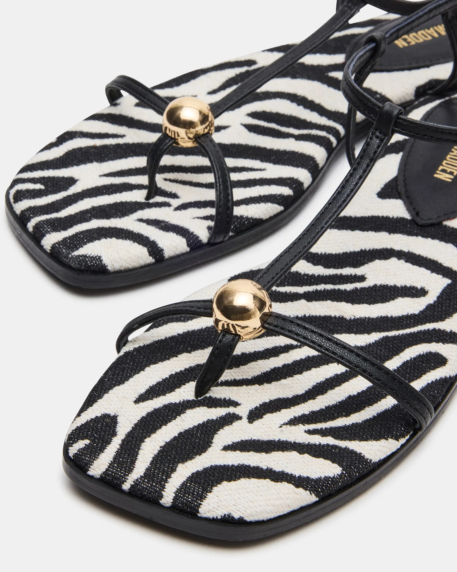 Ritzy Zebra