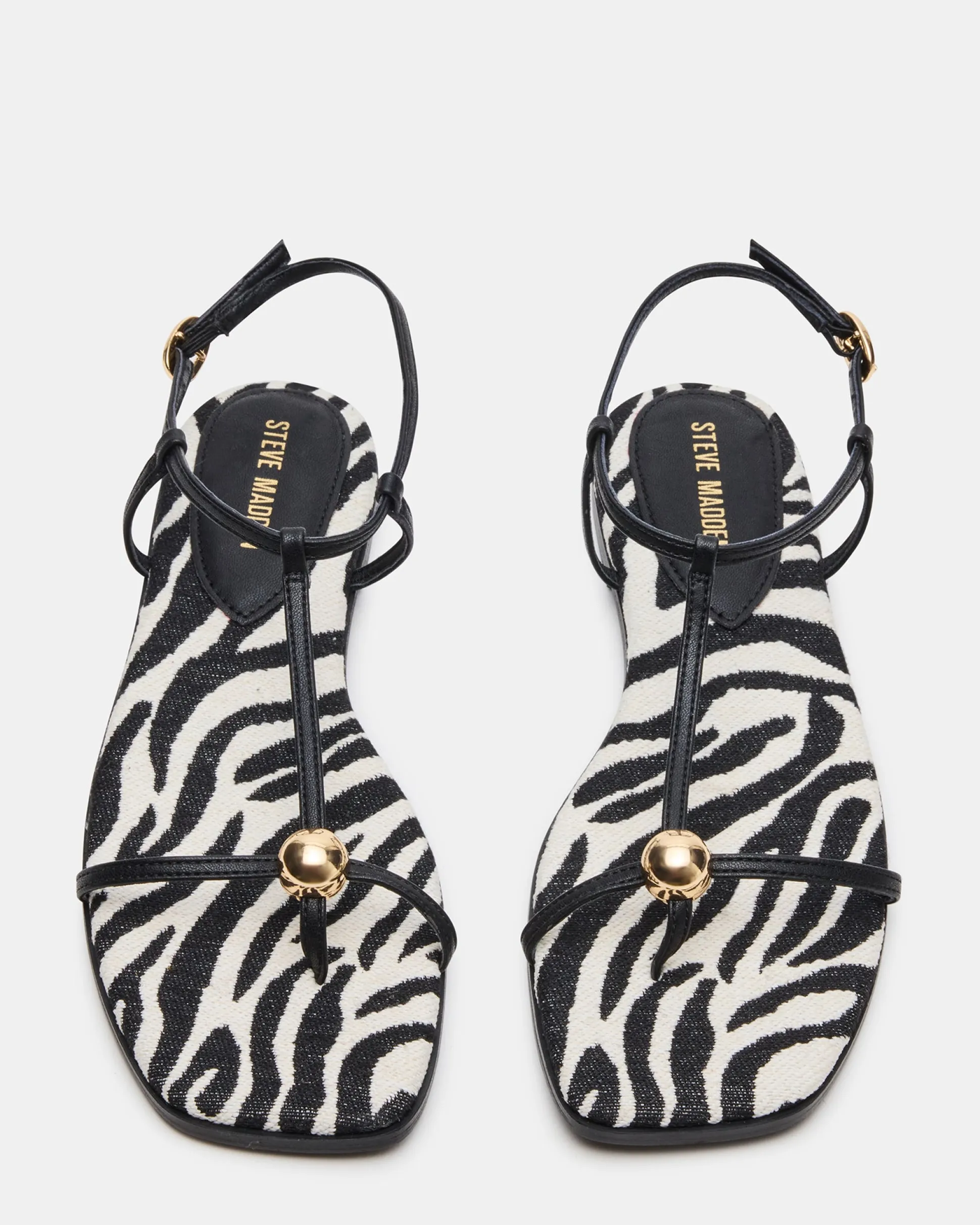 Ritzy Zebra