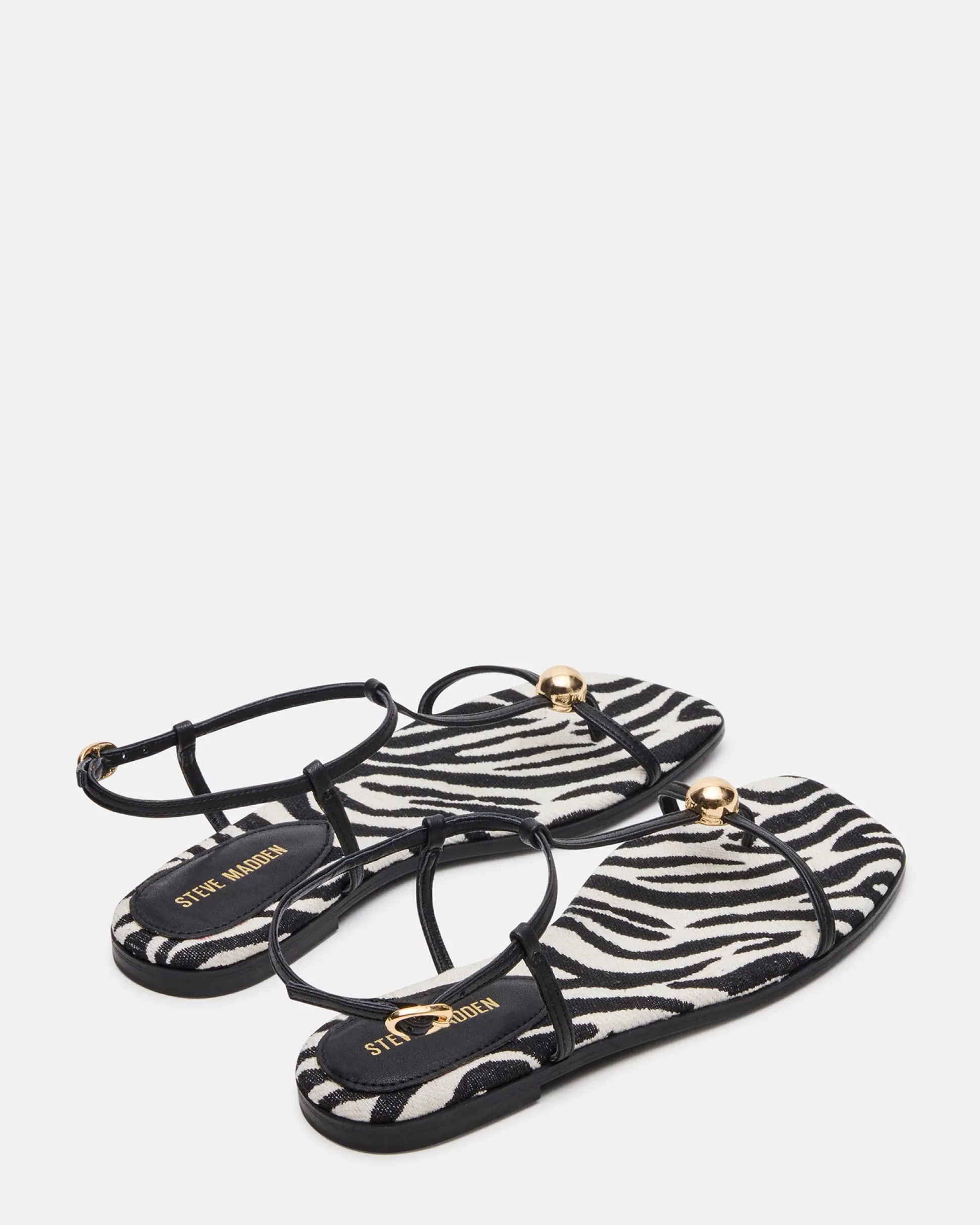 Ritzy Zebra