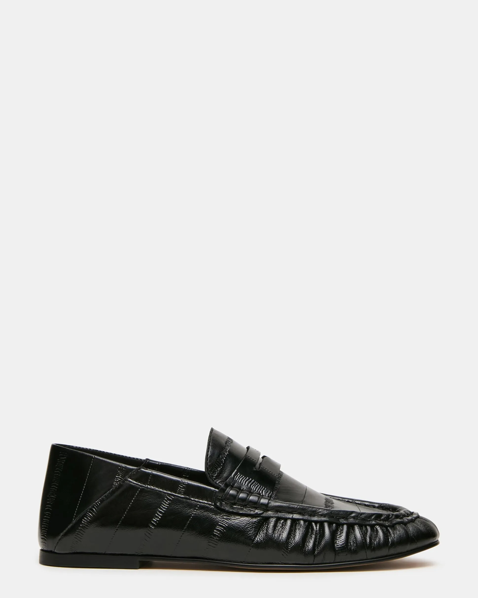Roger Black Eel
