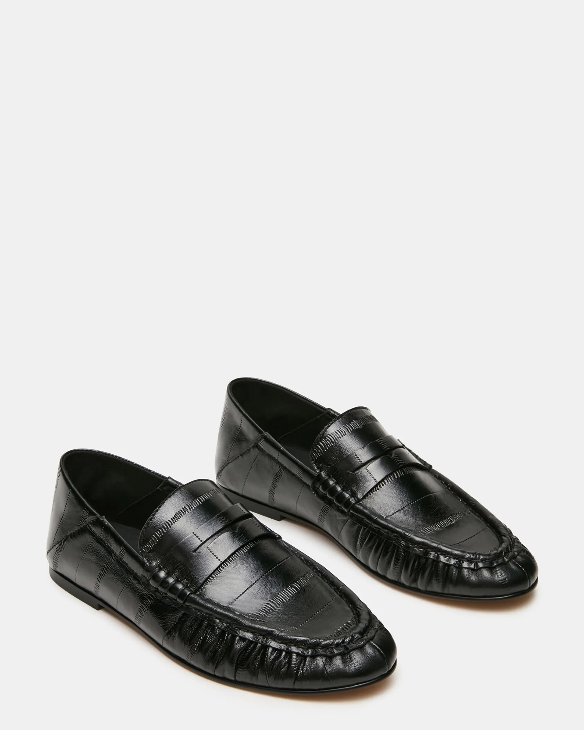 Roger Black Eel