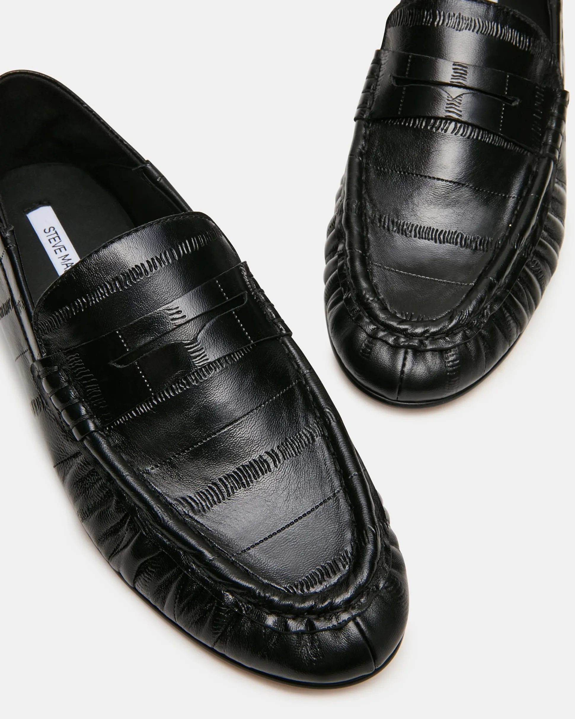 Roger Black Eel