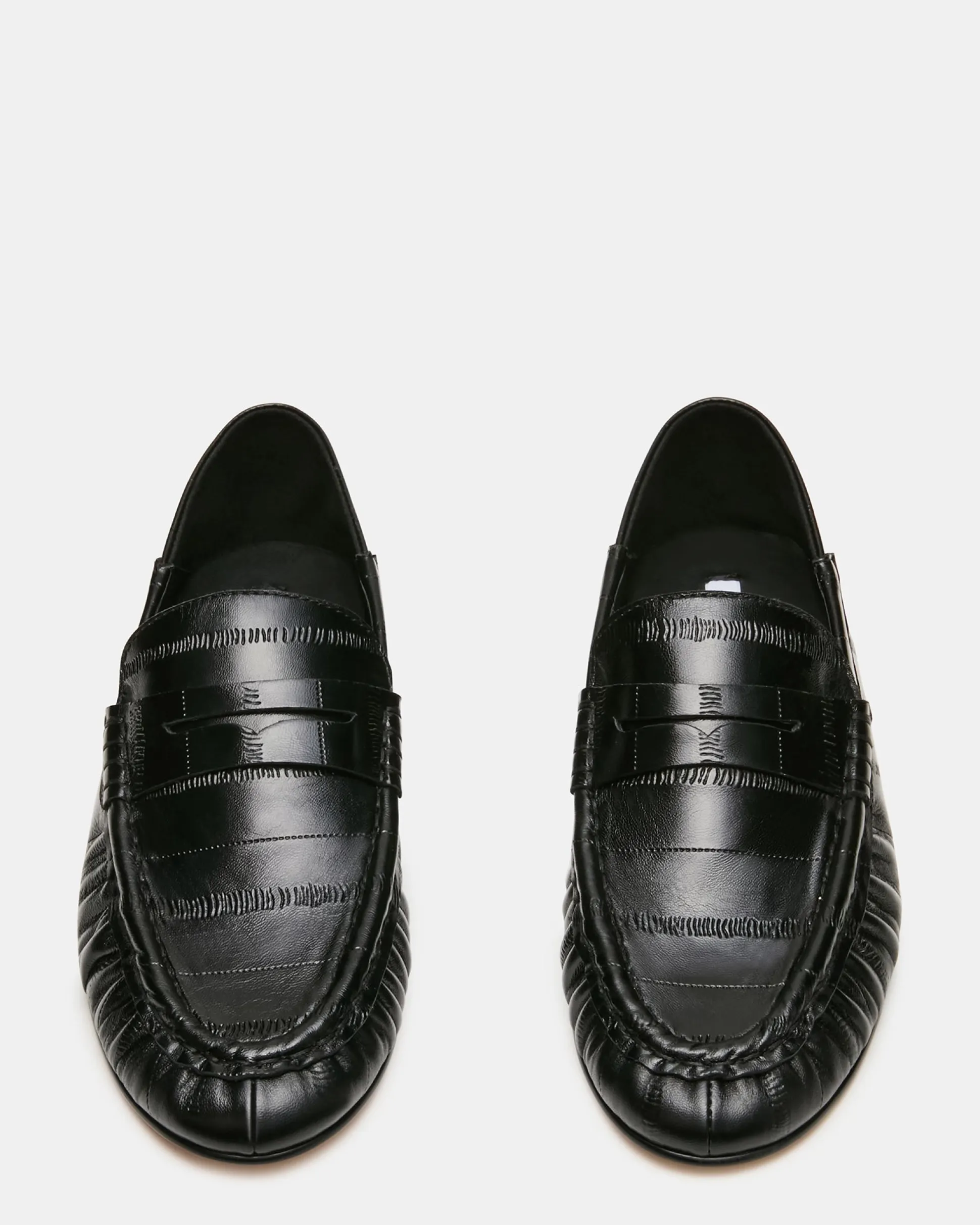 Roger Black Eel