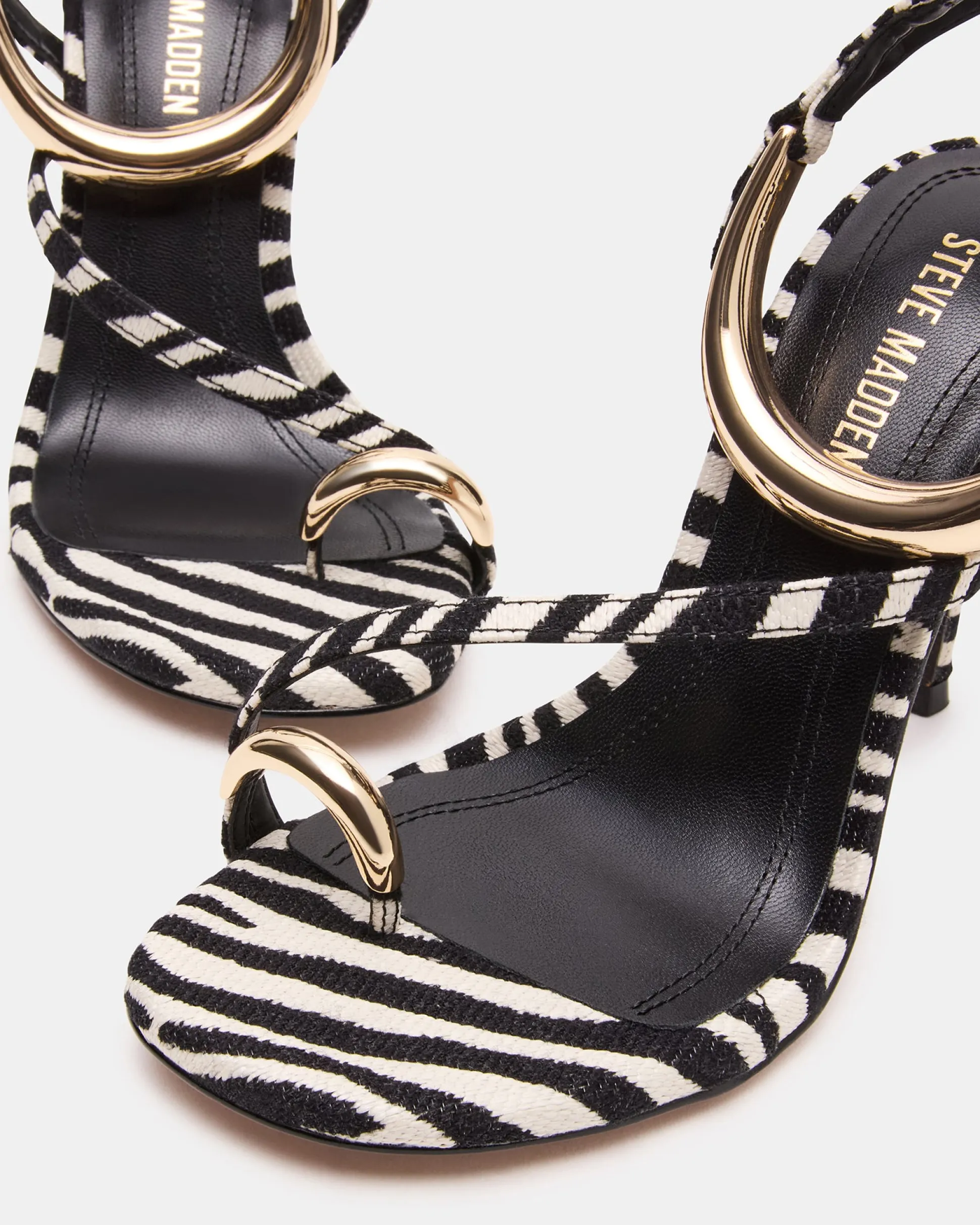 Tia Zebra
