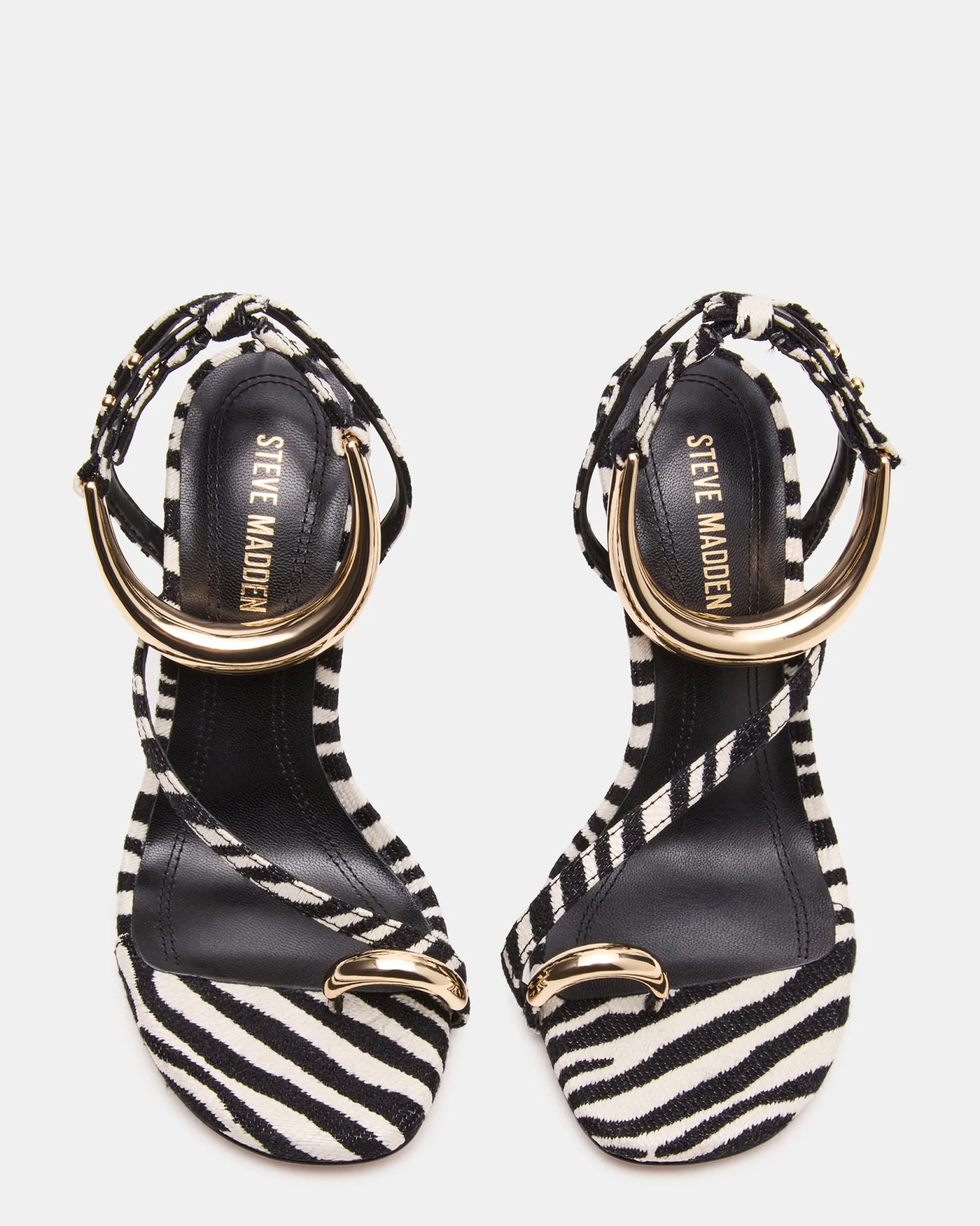Tia Zebra