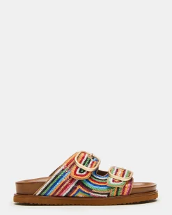 Tourist Multi Color